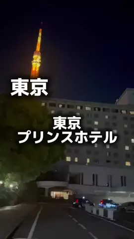 アラフォーの嗜みのTikTok投稿