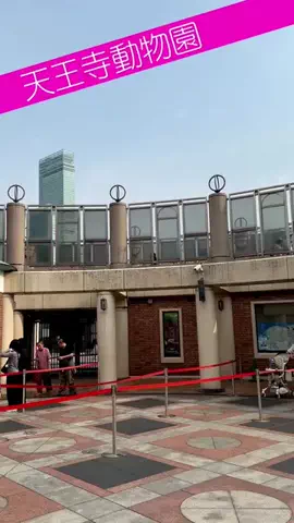 mawoのTikTok投稿