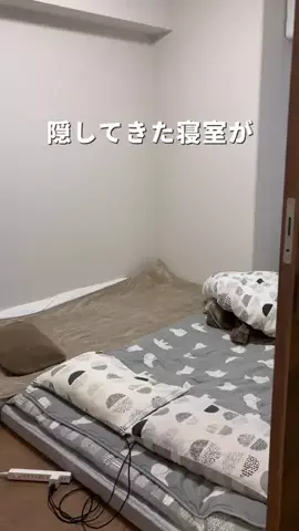 みあ⌇マネするだけで整う暮らしのTikTok投稿