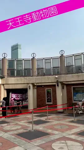 mawoのTikTok投稿