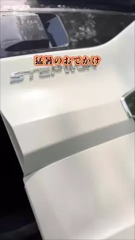 ゆっこ⌇ ママが笑顔になる暮らしアイデアのTikTok投稿