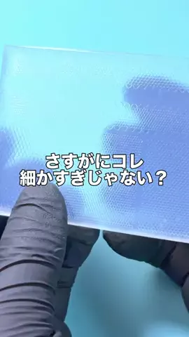 わん🐶のTikTok投稿