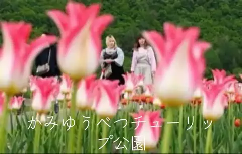 mのTikTok投稿
