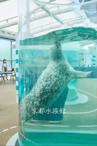 mのTikTok投稿