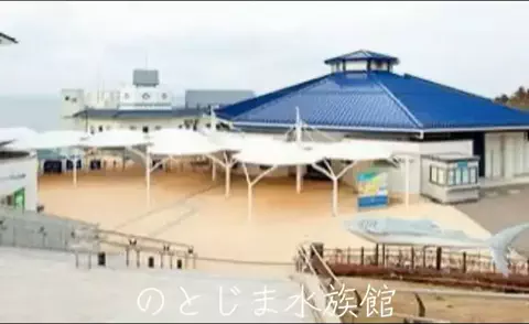 mのTikTok投稿