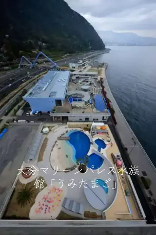 mのTikTok投稿