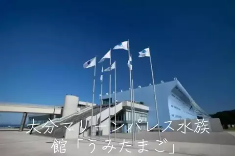 mのTikTok投稿