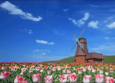 mのTikTok投稿