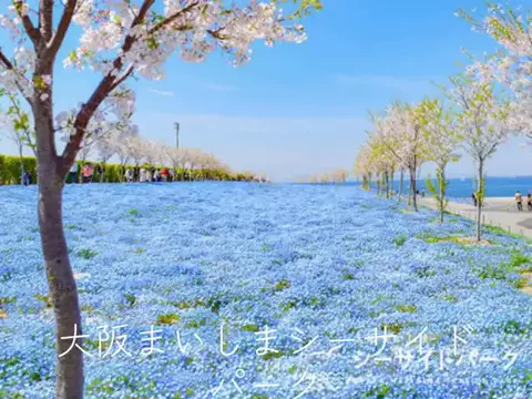 mのTikTok投稿