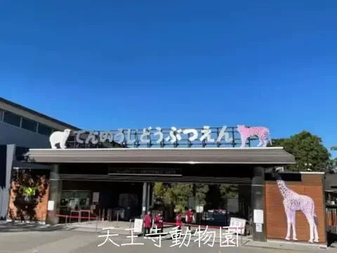mのTikTok投稿