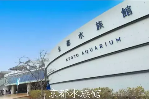 mのTikTok投稿