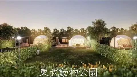 mのTikTok投稿