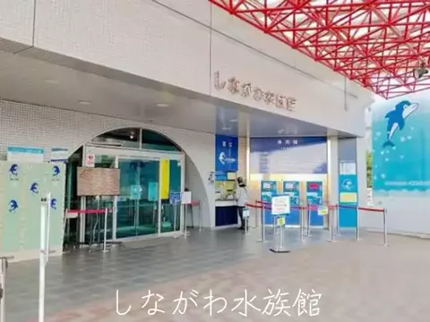 mのTikTok投稿