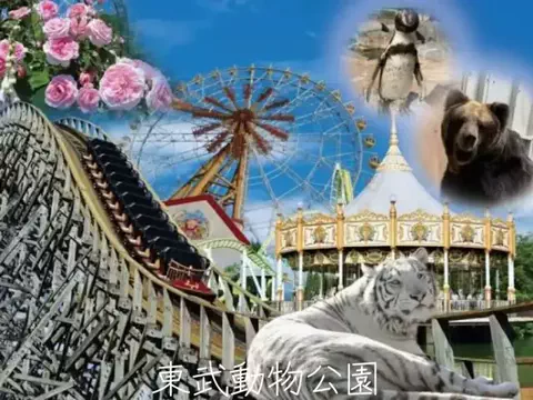 mのTikTok投稿