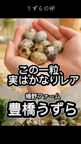 すけ まる (スケ 丸)のTikTok投稿