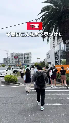 船橋グルメ | りんのTikTok投稿