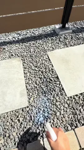 ねむのTikTok投稿