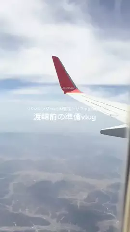 芋女のTikTok投稿