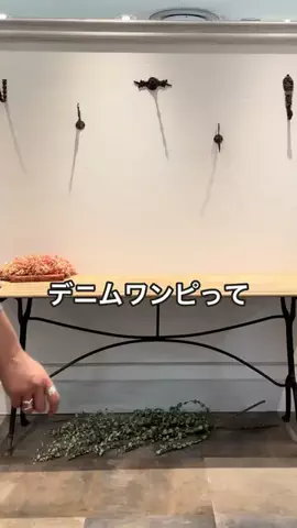 ハセガワのTikTok投稿
