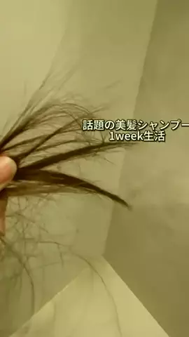 graazfitoqoq5591のTikTok PR投稿：#題のシャンプー1week検証してみた！#おすすめ #ヘアケア #…