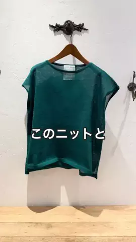 ハセガワのTikTok投稿