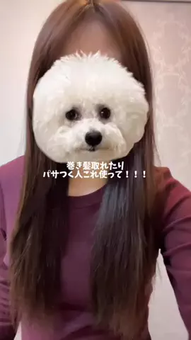 透愛のTikTok投稿