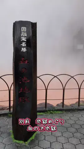 たちのTikTok投稿