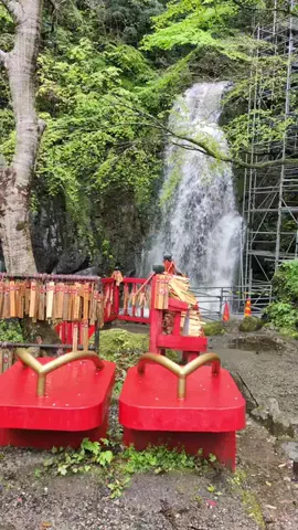 たちのTikTok投稿