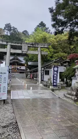 たちのTikTok投稿