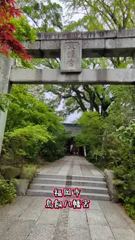 たちのTikTok投稿