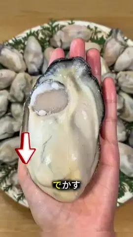 vbg9koe7k6のTikTok投稿