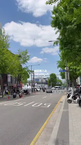 MAINAのTikTok投稿