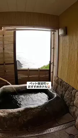 ごてんくすの日常🎀🫧のTikTok投稿