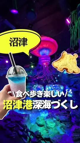あじんころ||横浜北部周辺ガイドのTikTok投稿