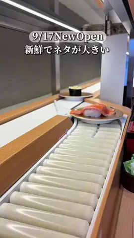 あじんころ||横浜北部周辺ガイドのTikTok投稿