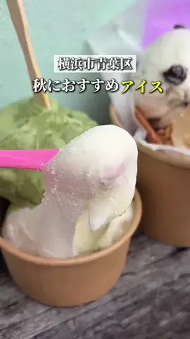 あじんころ||横浜北部周辺ガイドのTikTok投稿