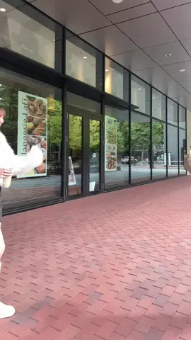 しずくのTikTok投稿