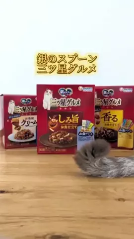 つな🐟tunaのTikTok投稿