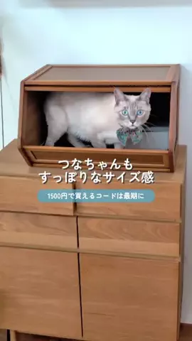 つな🐟tunaのTikTok投稿