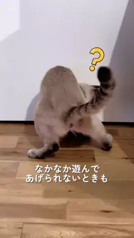 つな🐟tunaのTikTok投稿