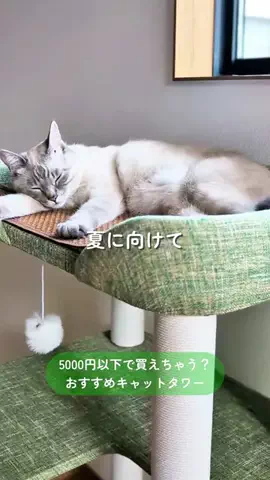 つな🐟tunaのTikTok投稿