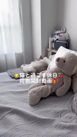 ノエルくんとはるのTikTok投稿