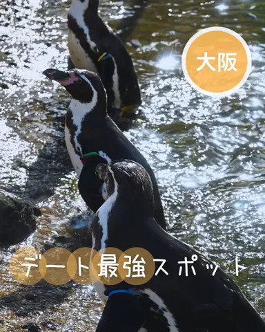 ベジタビ｜とくとく旅行ガイド💸のTikTok投稿