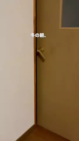 さやぴい⌇整えるごはんと暮らしのTikTok投稿