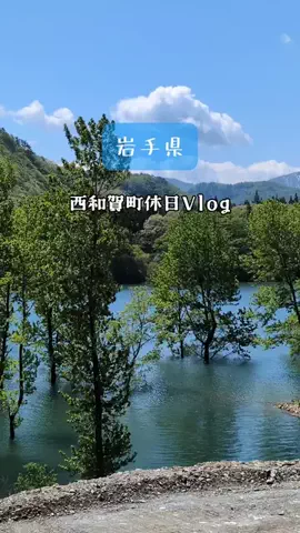 すくすくもりおかのTikTok投稿