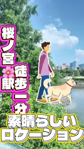 椎茸　じゅんのTikTok投稿