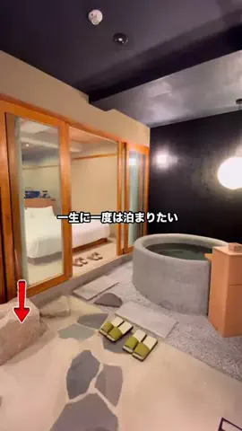グルメちゃんの旅のTikTok投稿