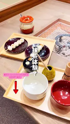 グルメちゃんの旅のTikTok投稿