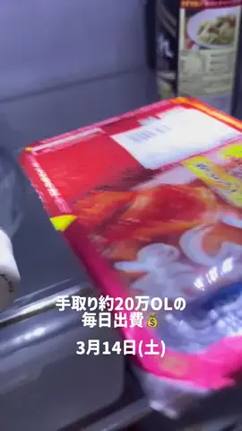 出費記録💰のTikTok投稿