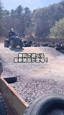 グルメちゃんの旅のTikTok投稿